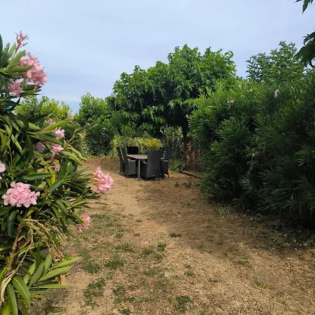 La Maison D'a Cote 別荘 *